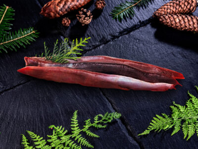 Jelen sika - panenka